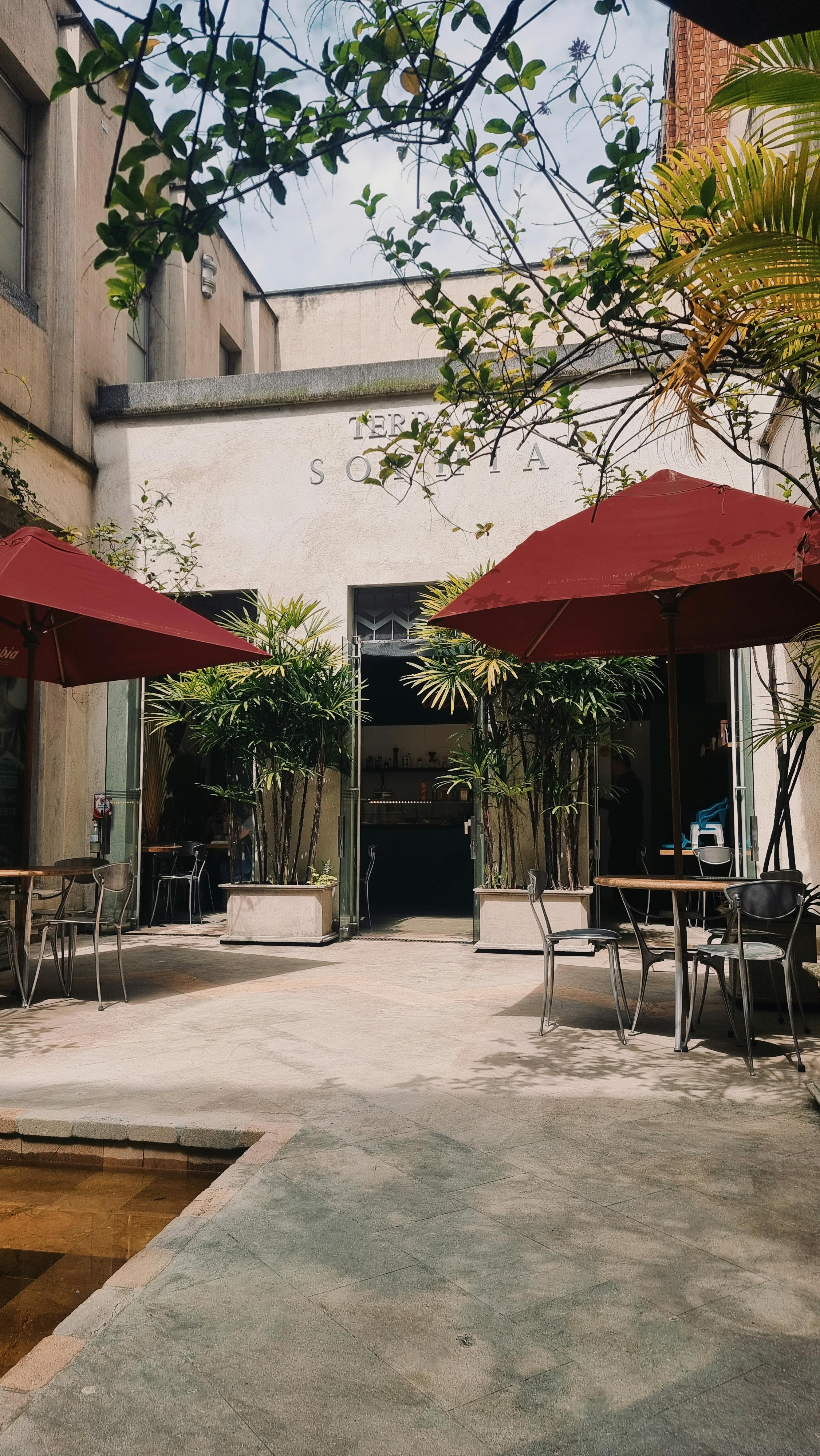 Premium Cafe Interior